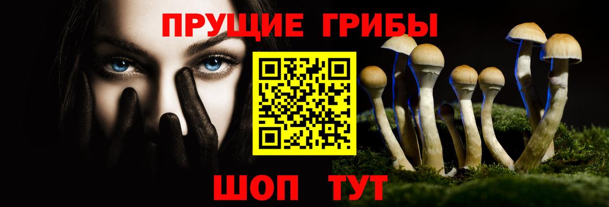 Псилоцибиновые грибы прущие грибы  купить закладку  Вход с VPN  Оренбург  Псилоцибиновые грибы прущие грибы 